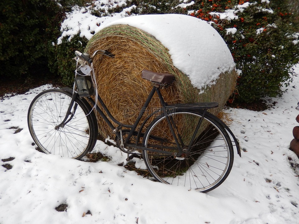 冬季,自行车,雪