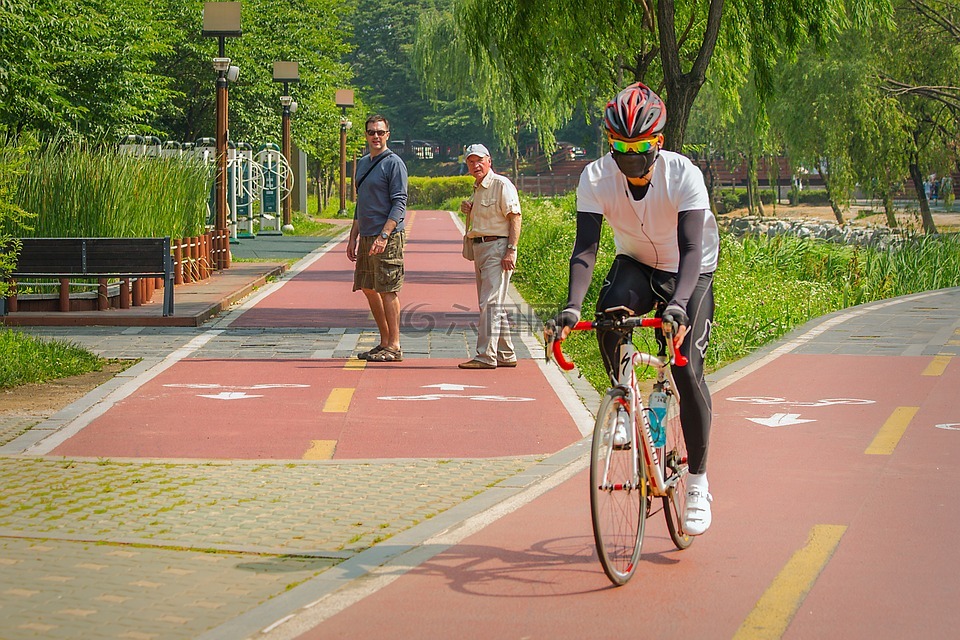 骑自行车,城市公园,韩国
