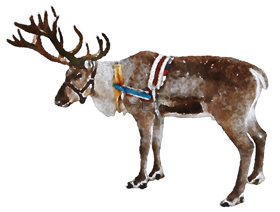 驯鹿,圣诞节,水彩画
