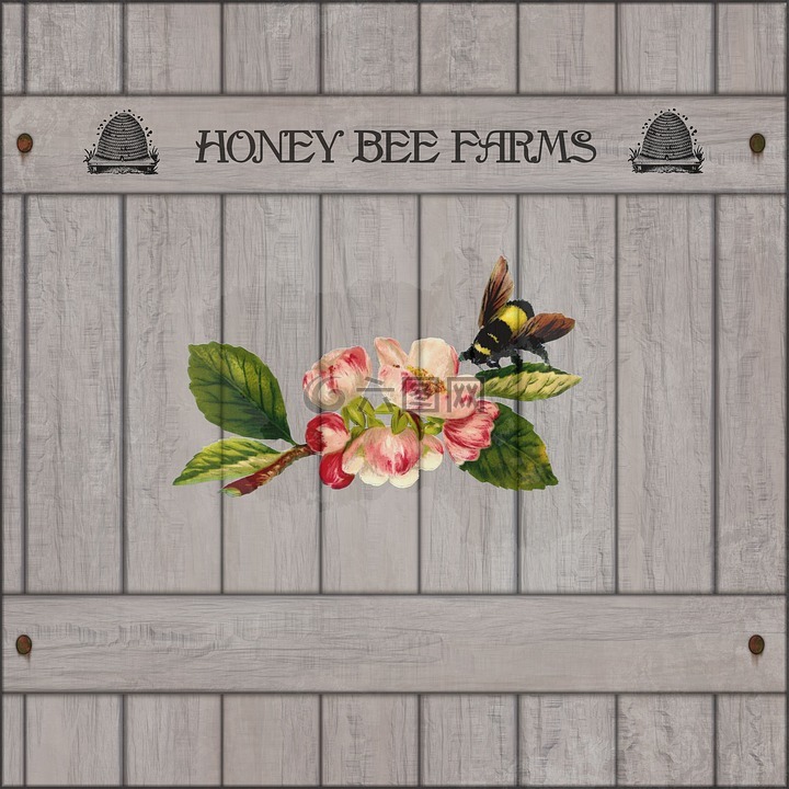 木牌,蜜蜂,开花