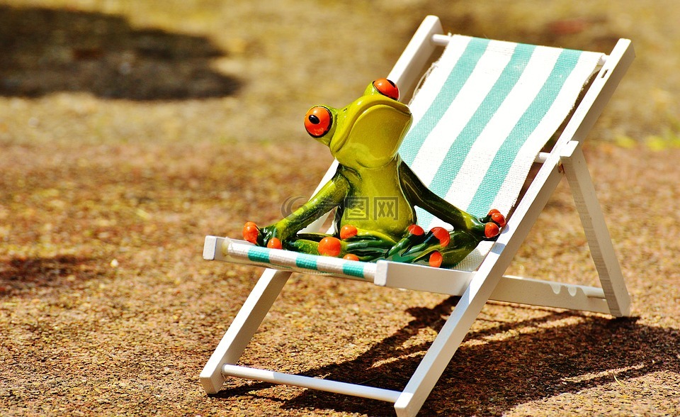 日光躺椅,海滩,青蛙