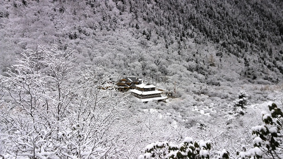 深山,寺院,雪