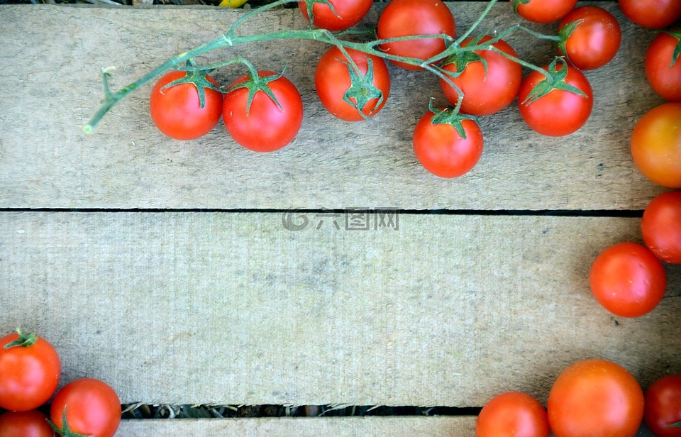 蔬菜箱,番茄笼子,蕃茄