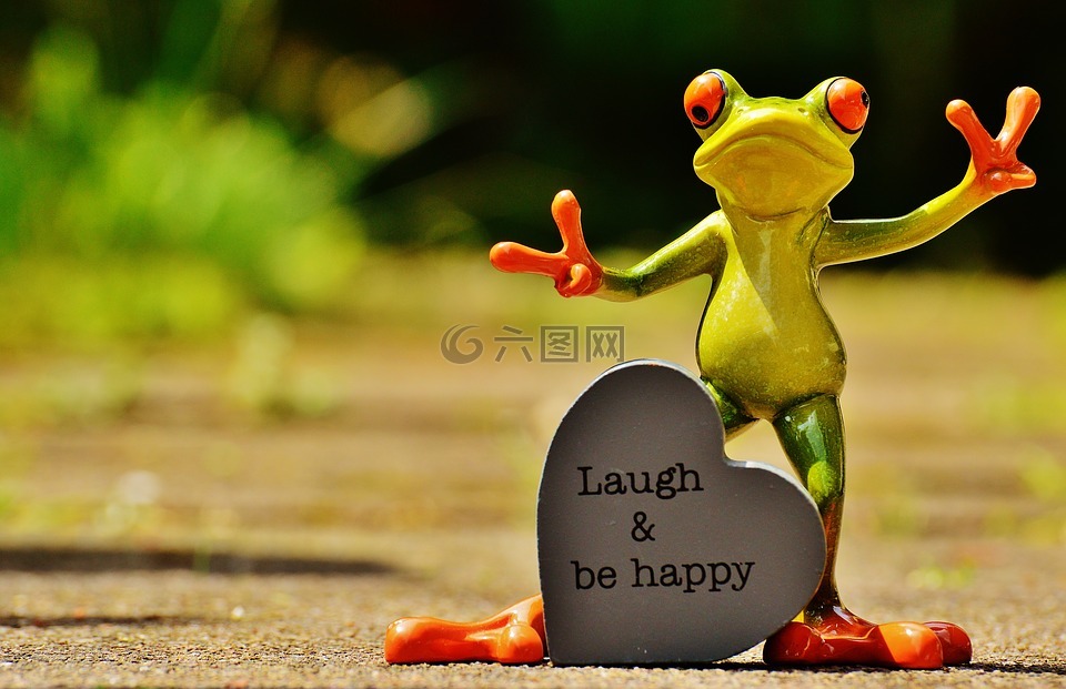 青蛙,滑稽,笑