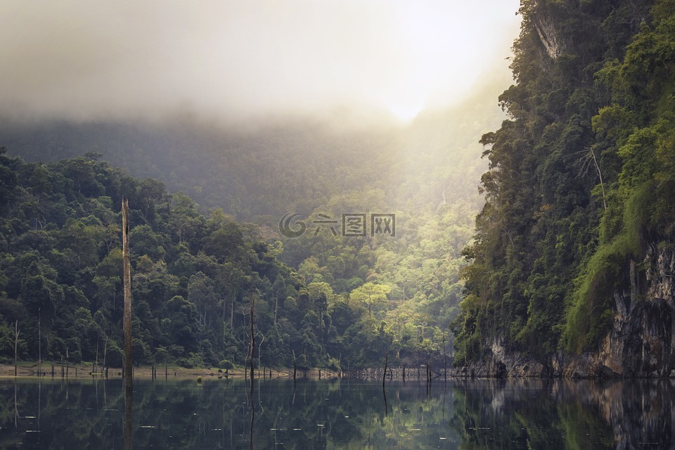 湖,雨林,热带