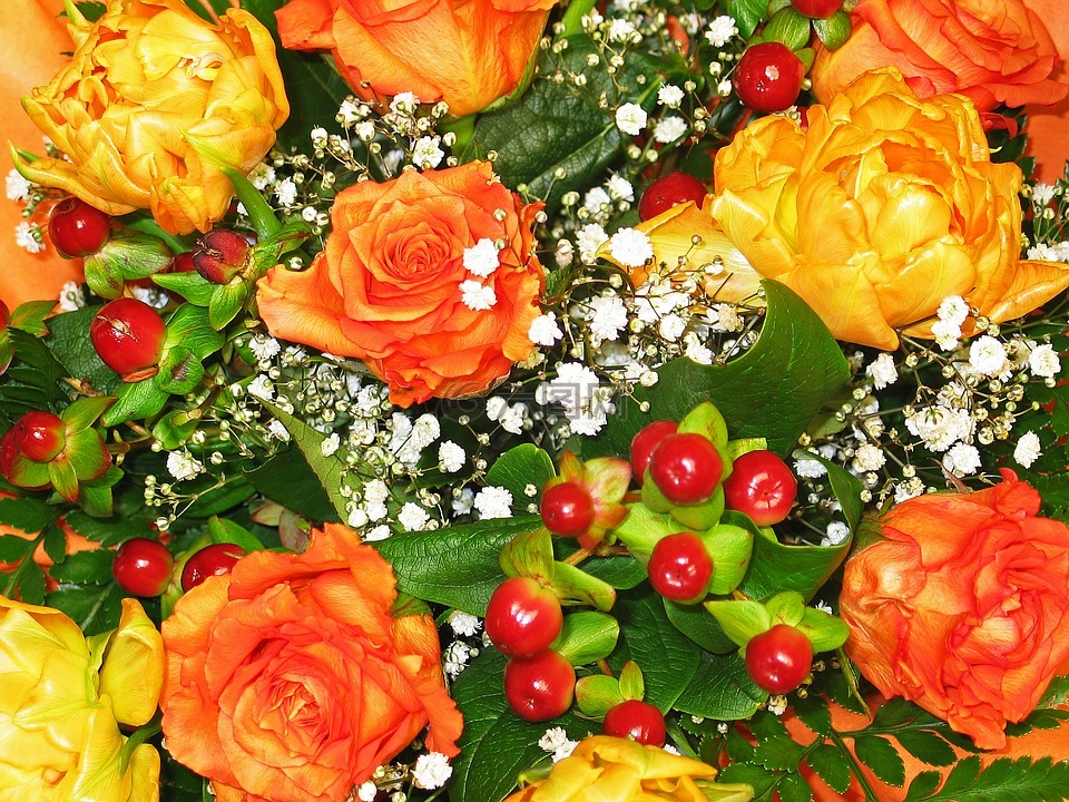 束鲜花,花商,束玫瑰