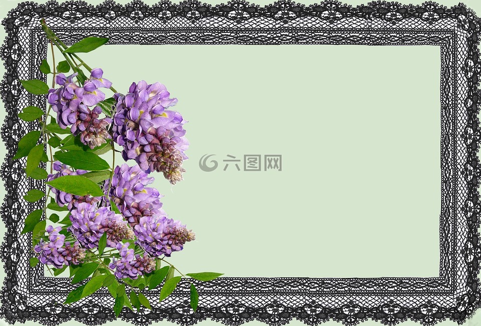 贺卡,紫藤,设计