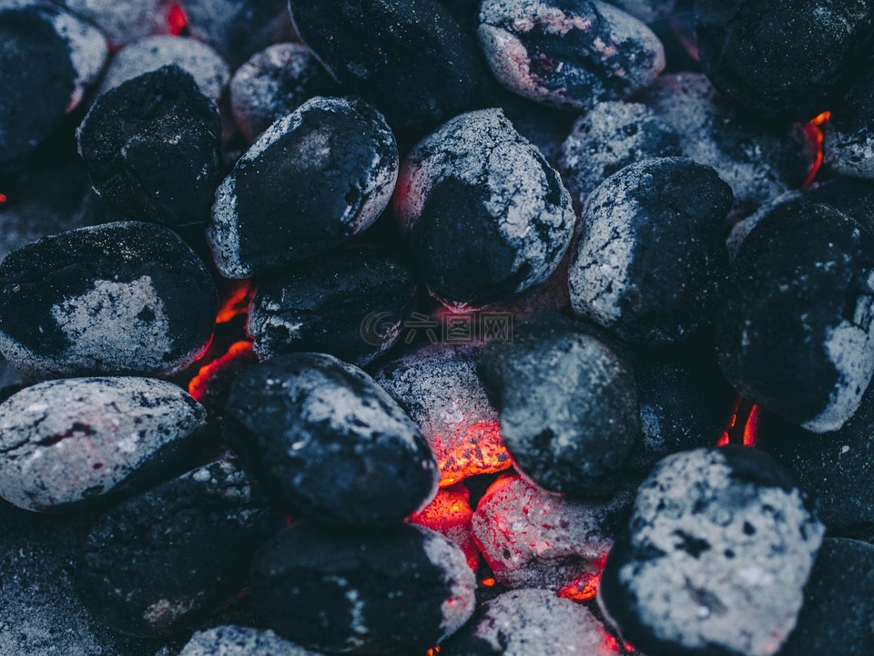 煤,烧烤,烤架