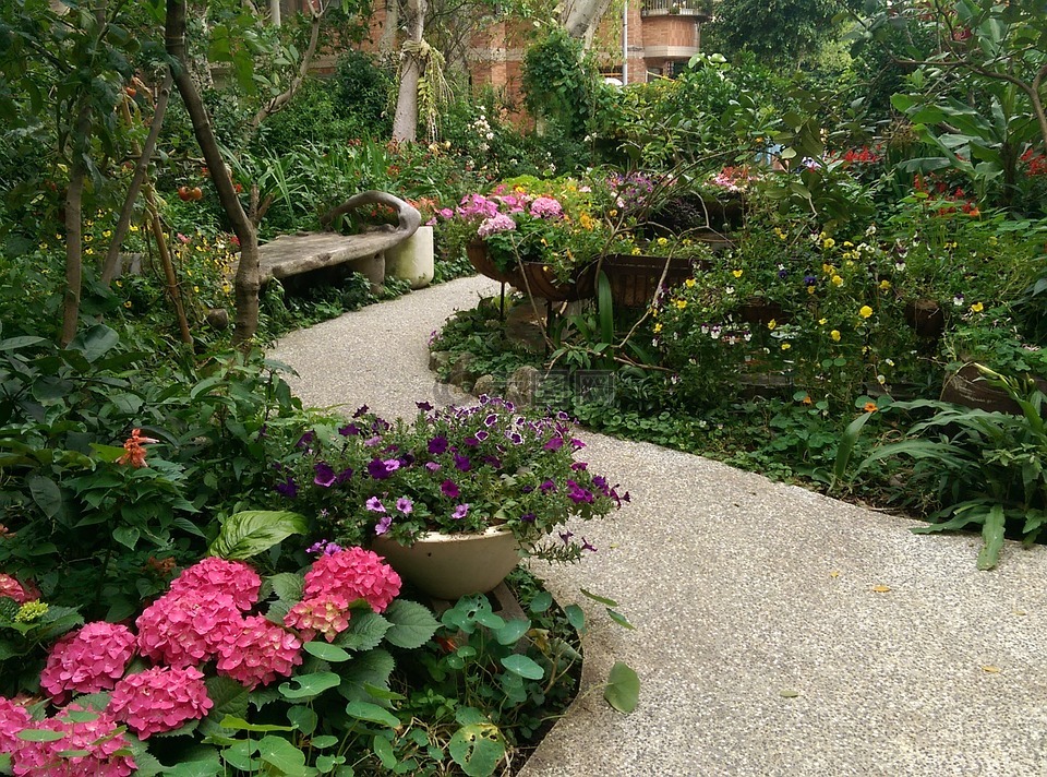 庭院,绣球花,步道