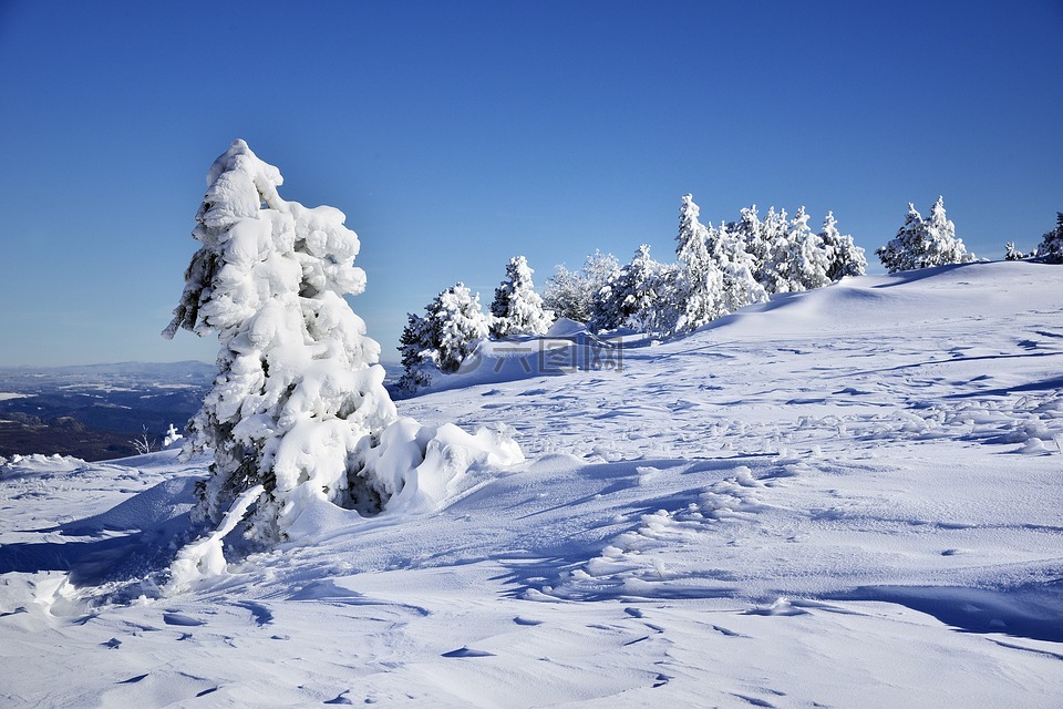 阿尔卑斯山,白色的景观,冬天
