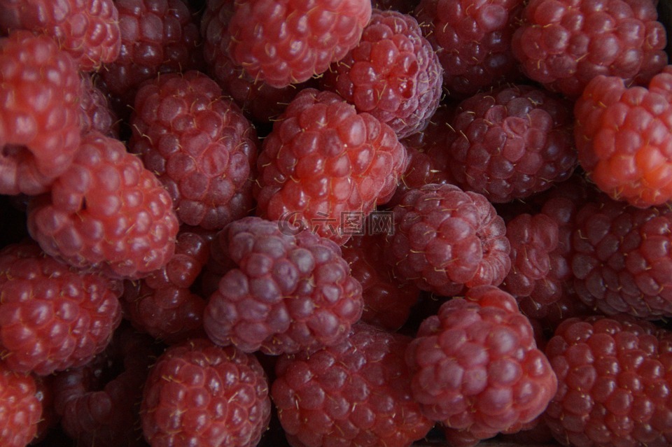 浆果,山莓,红色