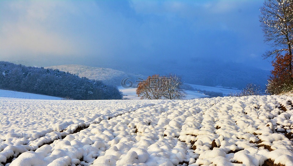 冬天,寒冬,雪