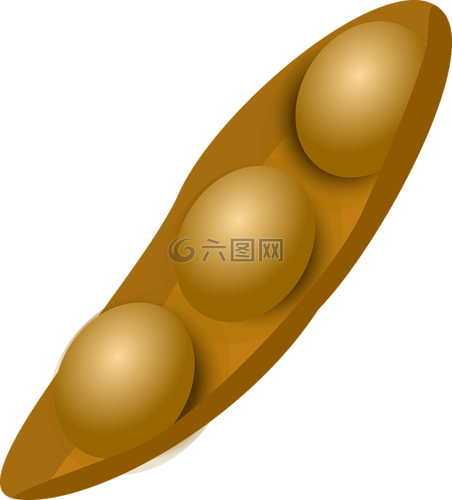 大豆,黄豆,蔬菜