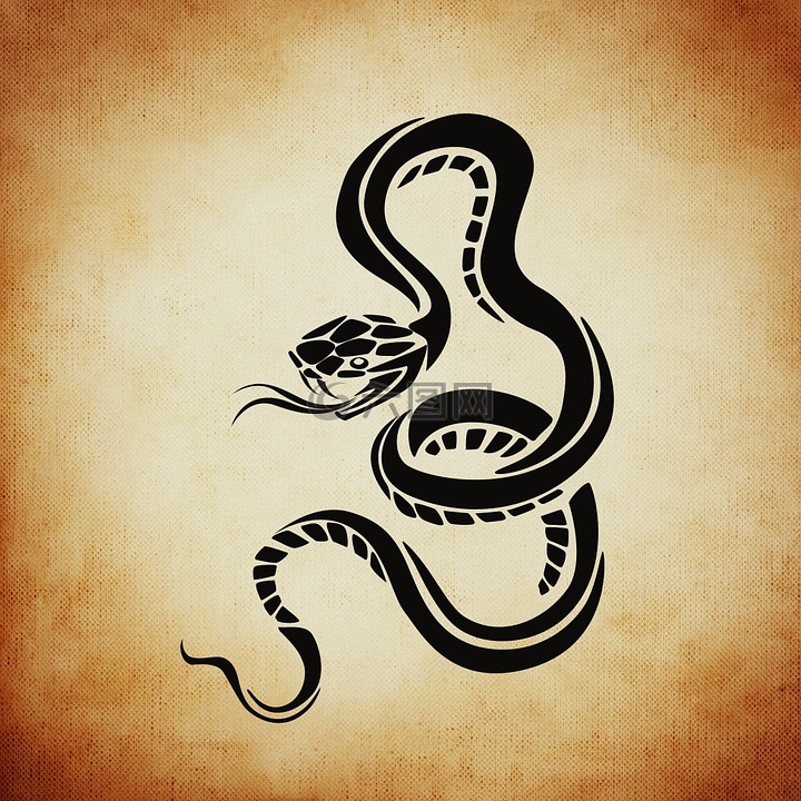 蛇,危险,背景
