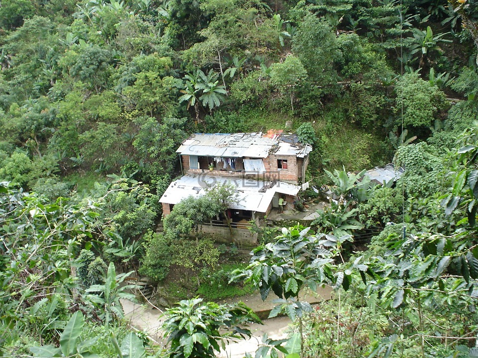 哥伦比亚,房子,农村