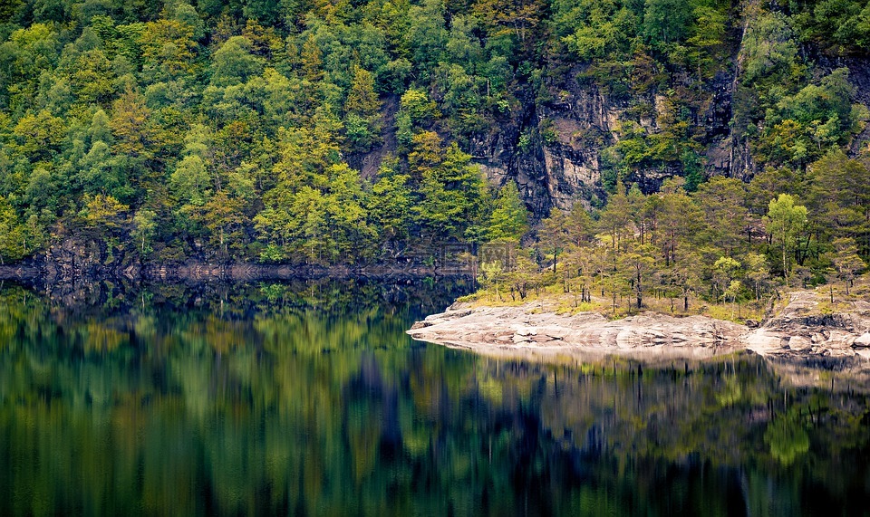 挪威,森林,山