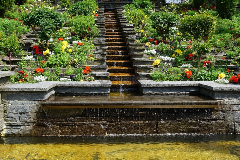 花园,水,喷泉