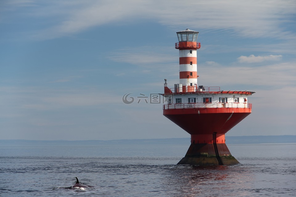 鲸从灯塔在泰道沙克,316计时,风车加尔