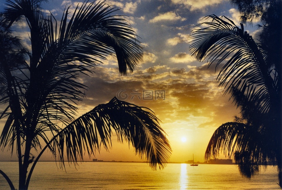 迈阿密,日落,加勒比海
