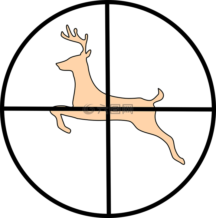 十字线,狩猎,鹿
