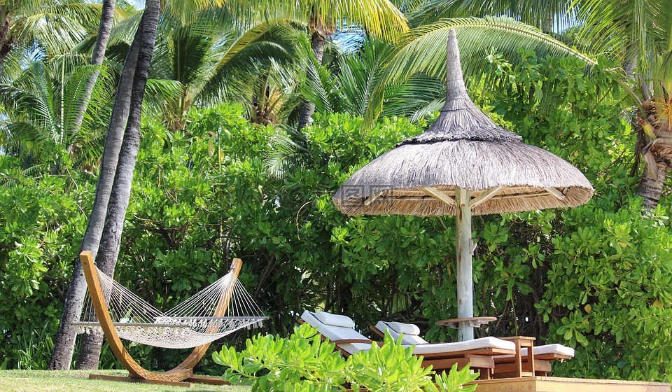 吊床,阳伞,棕榈树
