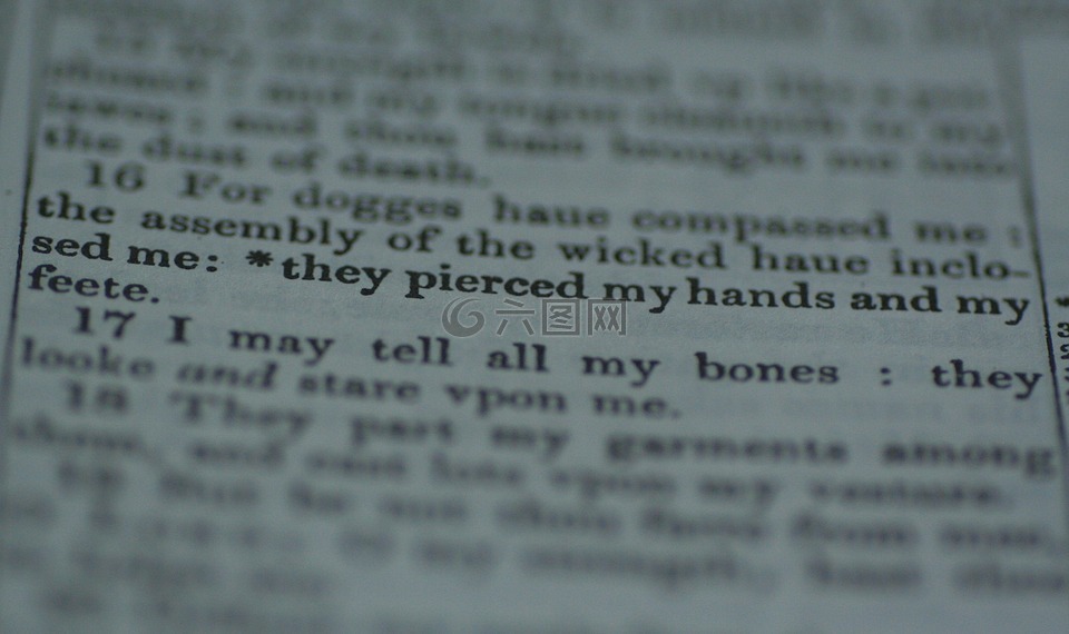 诗篇 22 篇,圣经,手