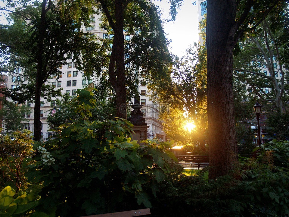 纽约市,公园,日落