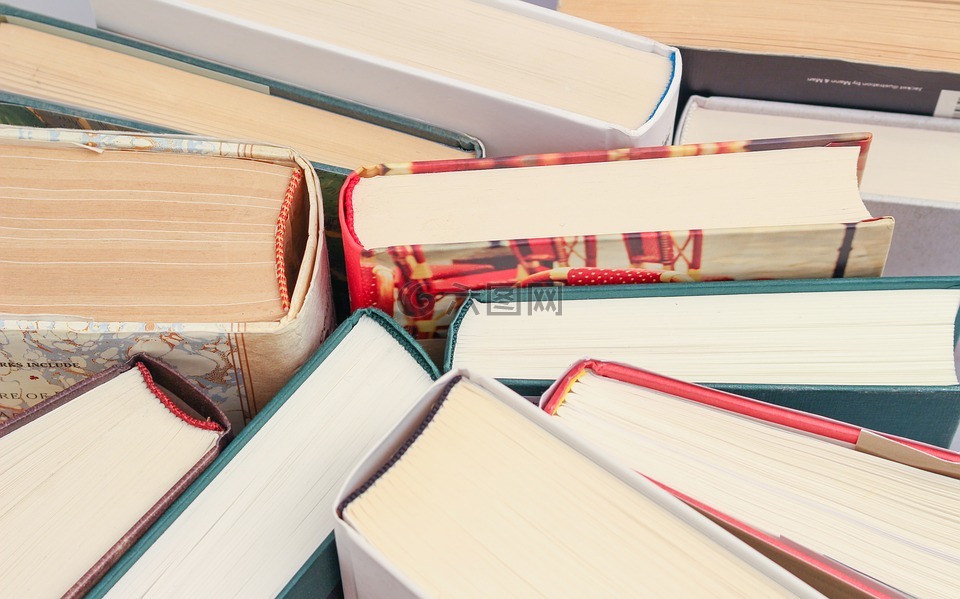 书籍,书,阅读