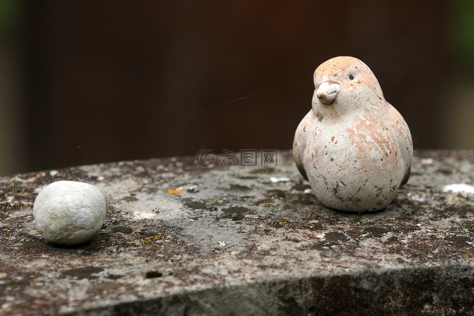鸟,石,坟场