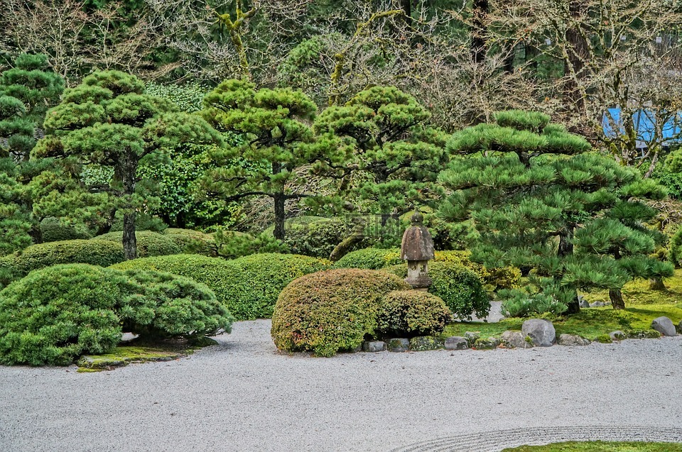 日本,花园,秋天