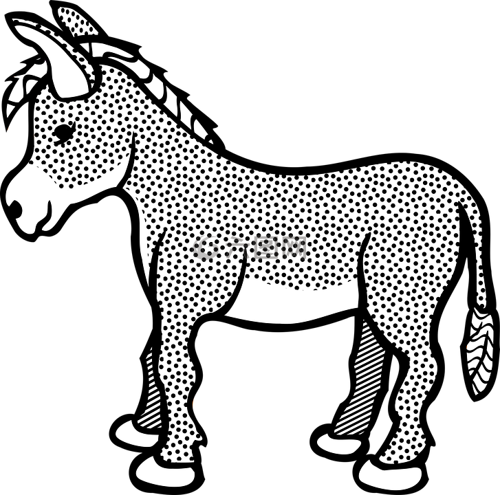 驴 动物 可爱高清图库素材免费下载 图片编号 六图网