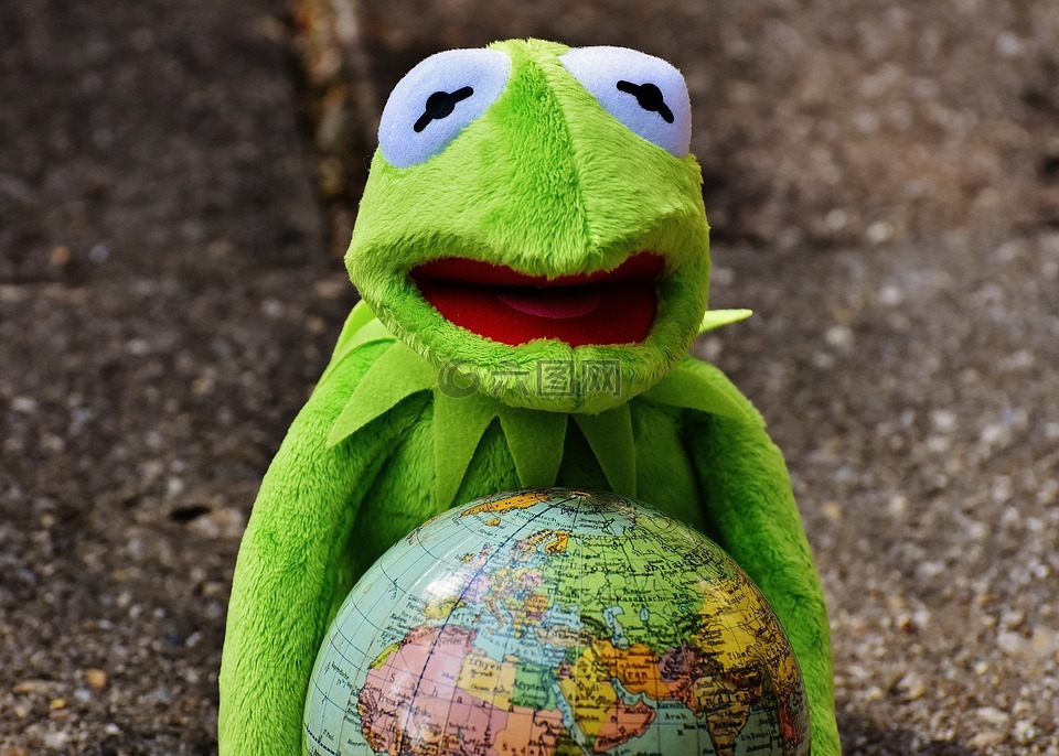 拥抱整个世界,柯,青蛙