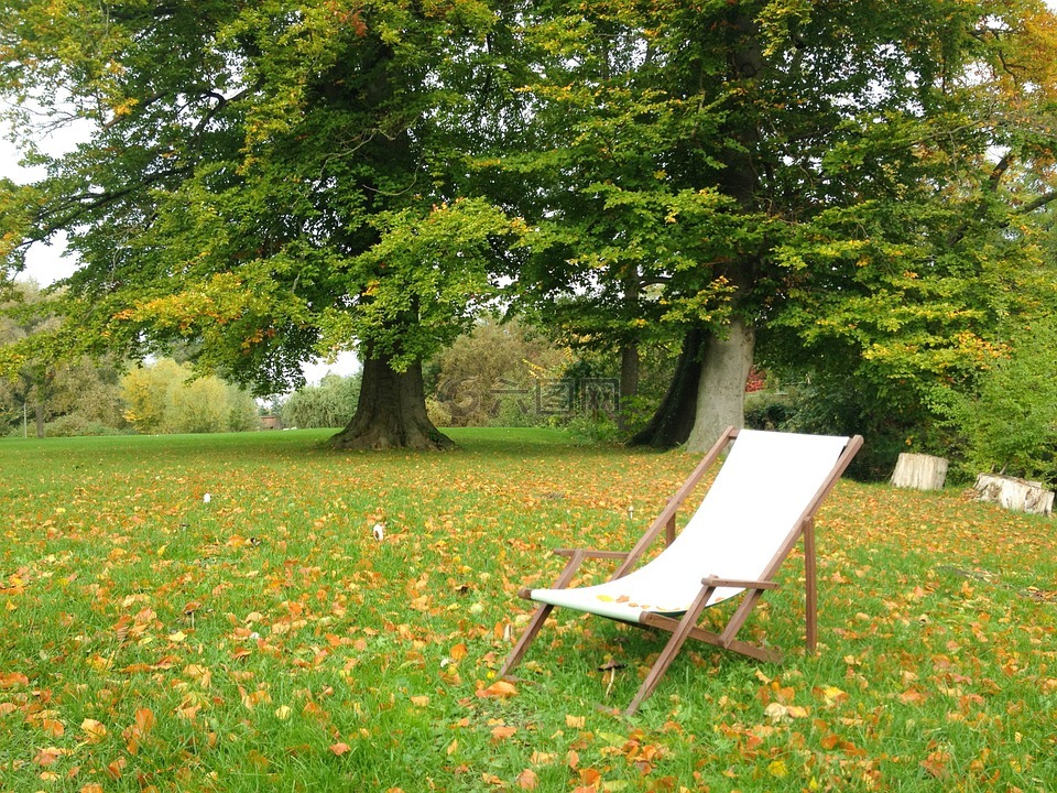 秋季,公园,躺椅