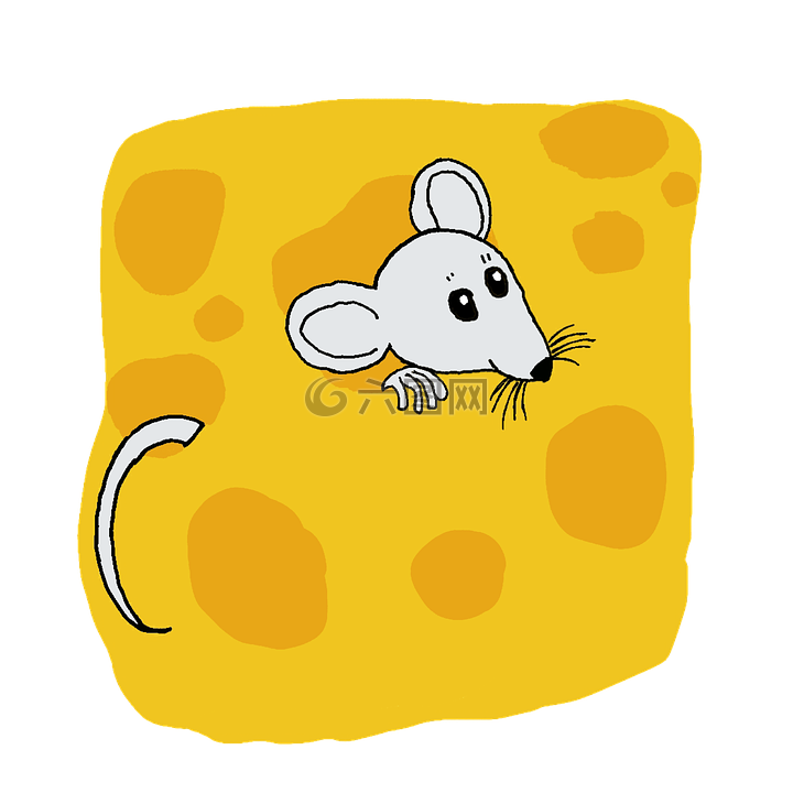 大鼠,鼠标,奶酪