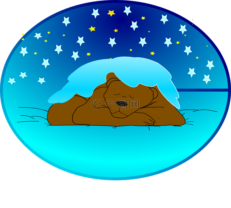 冬天睡眠,休眠状态,熊