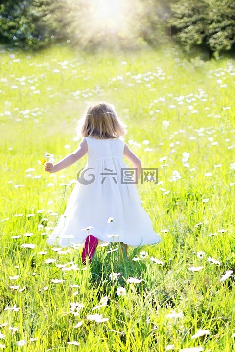 小女孩奔跑,雏菊,自然