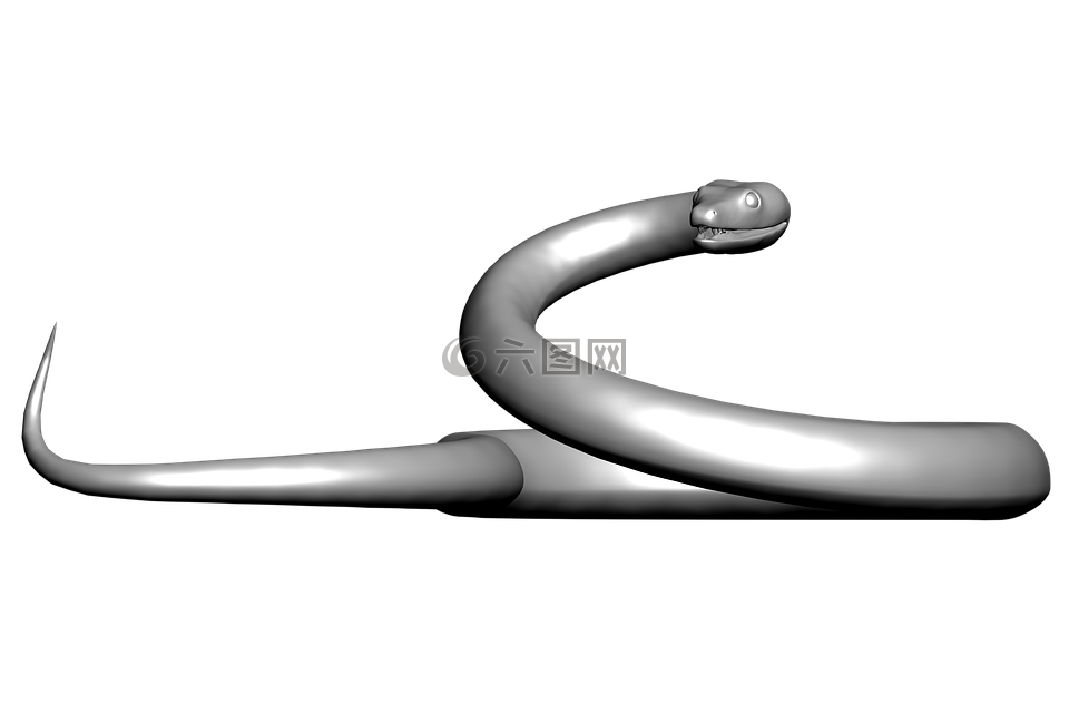 蛇 3d Re高清图库素材免费下载 图片编号 六图网