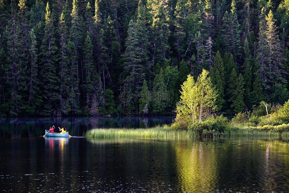 独木舟,景观,湖