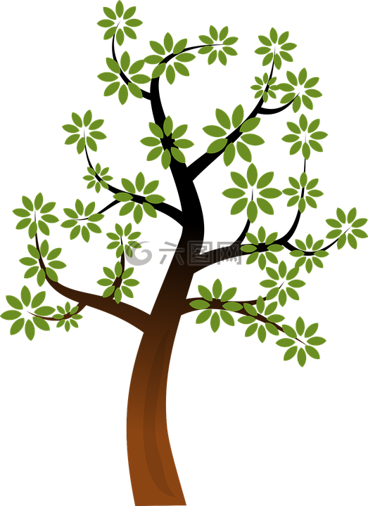 枝杈,森林,绿色