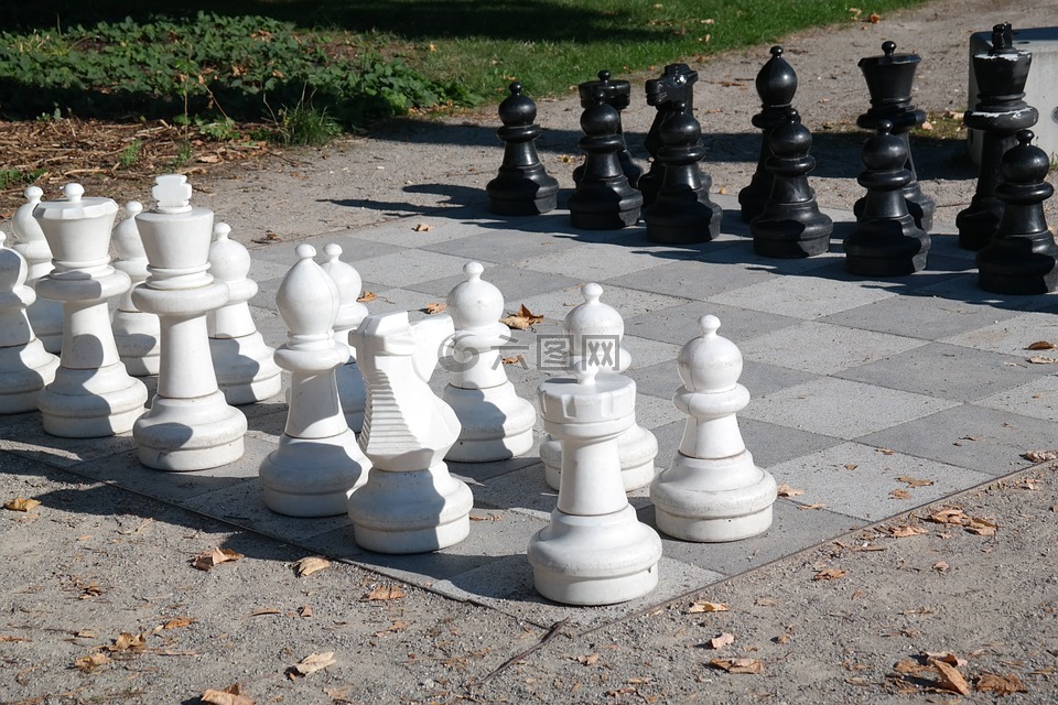 象棋,棋盘,棋盘上的棋子