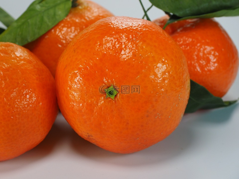 柑橘,橘子,克莱芒蒂娜