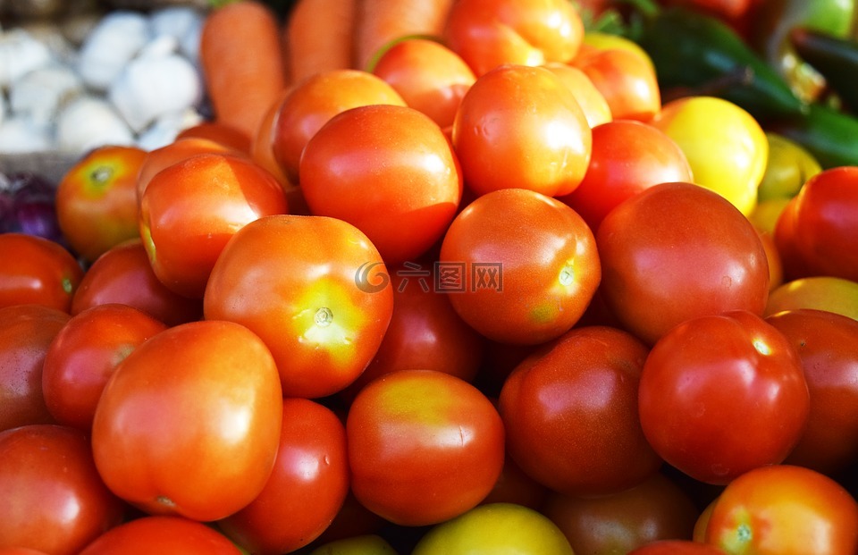 番茄,蕃茄,食品