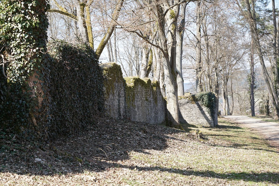 废墟,公园,树木