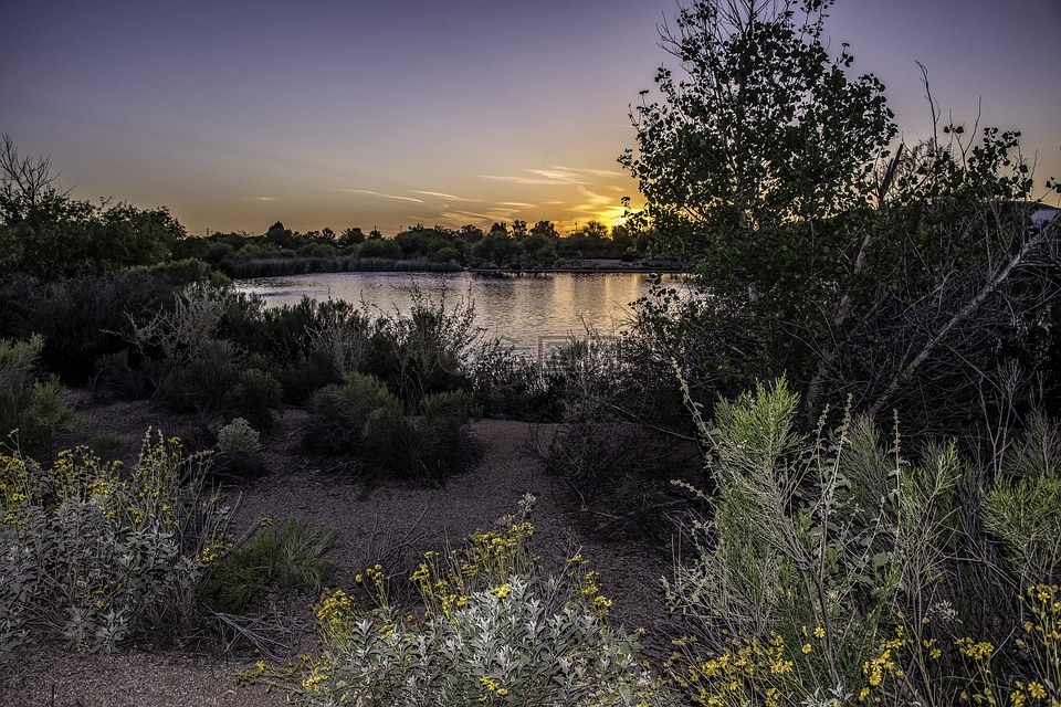 河岸,亚利桑那州,glibert