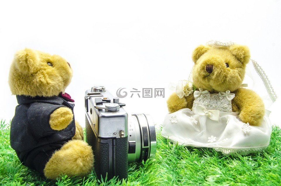 情人节,婚礼,熊