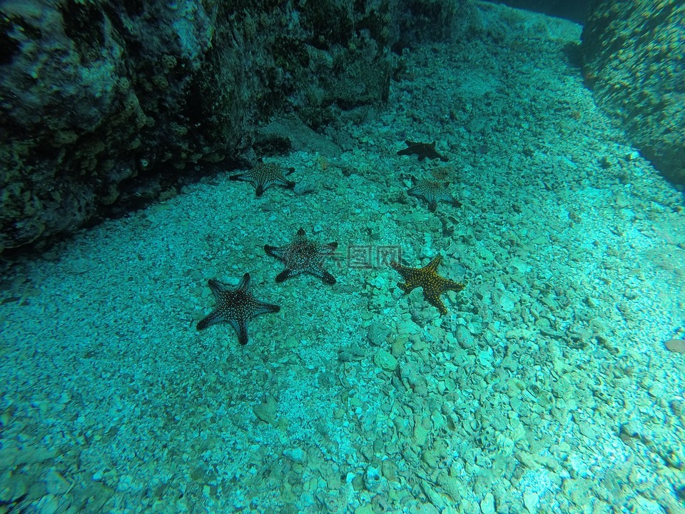 海洋之星,海底,潜水