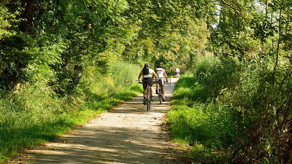 骑自行车,自行车运动员,森林