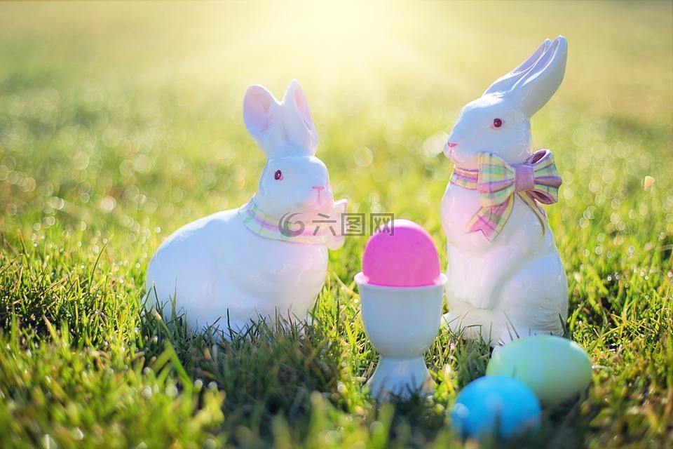 复活节,复活节兔子,兔