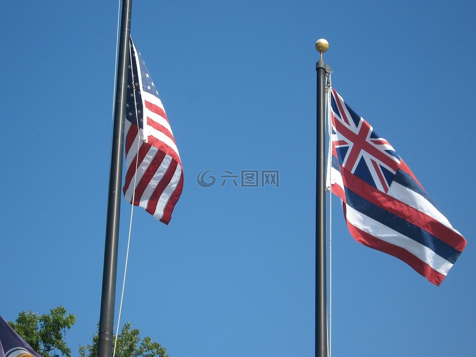 夏威夷,大作战卫勤,美国