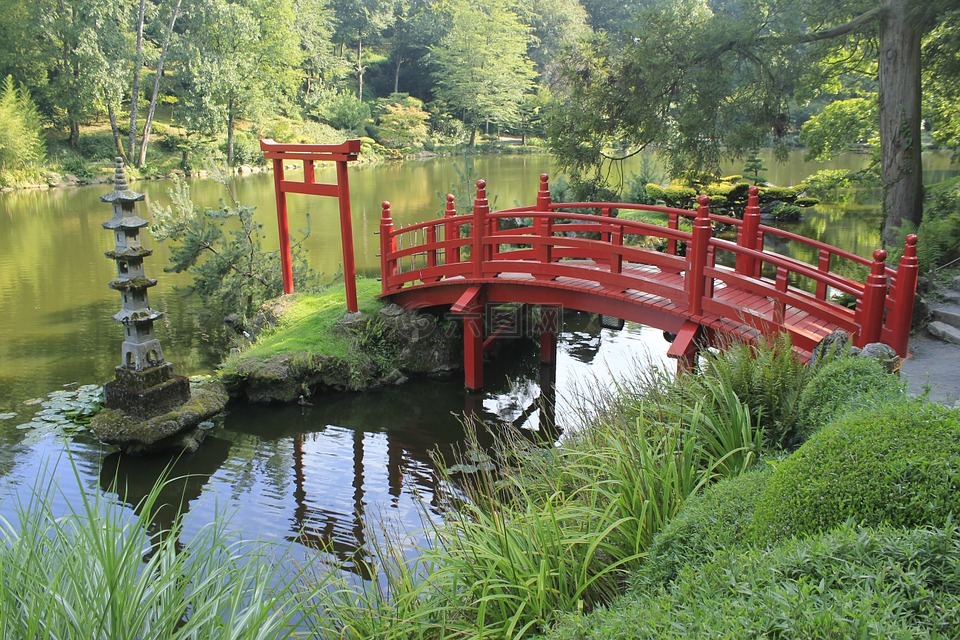 花园,桥,日本花园